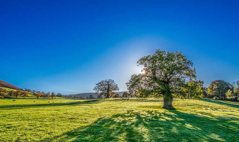 Countryside