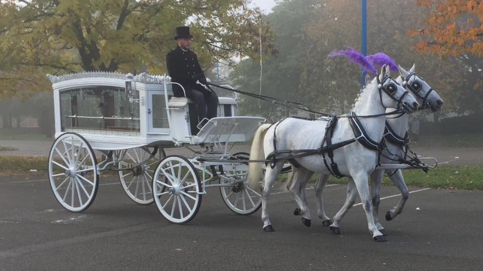 Horse and Carriage